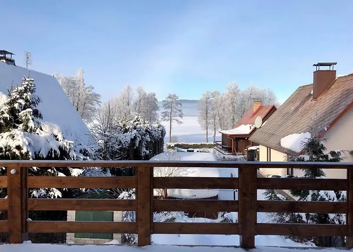 Dandelion * Cerna v Posumavi